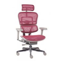 GROSPOL - ERGOHUMAN 2 ELITE Fotel Obrotowy GS Pink | Szary Stelaż | Różowa Siatka | Mechanizm Drift Tilt | Podłokietnik 5D | Fotel do 150 kg | Zgodny z Rozporządzeniem z 2023 roku